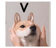 842151403