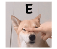 842151404