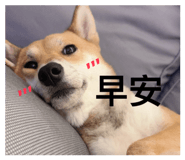 842151406
