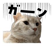 842151980