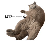842152227