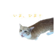 842152569