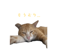 842152571