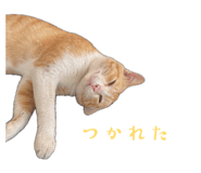 842152573