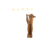 842152576