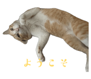 842152577