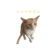 842152581