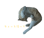 842152583