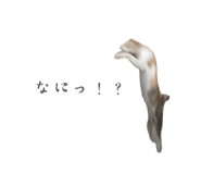 842152588
