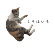 842152589