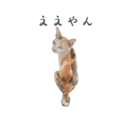 842152590