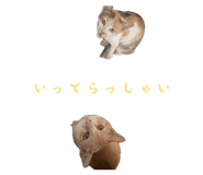 842152593