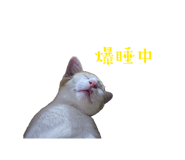 842152596