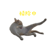842152602