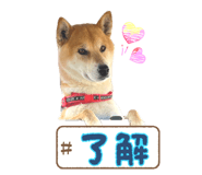 842152635