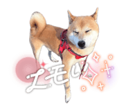 842152640