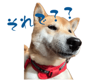842152643