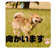 842152843