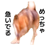 842152844