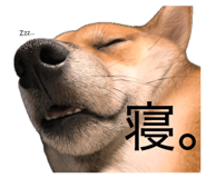 842152851