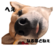 842152854