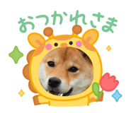 842153202