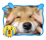 842153203