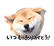 842153204