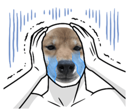 842153206