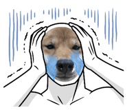 842153206