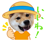 842153207
