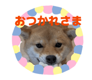 842153209