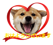 842153212