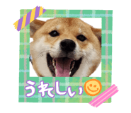 842153224