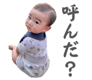 842153341