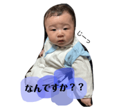 842153552