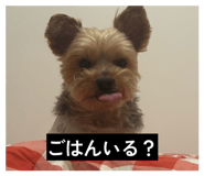 842153721