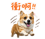 842153752