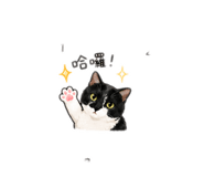 842153817