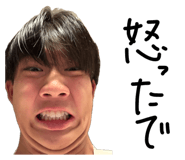 842155294
