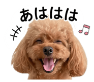 842155374