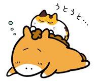 842156016