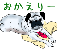 842156216