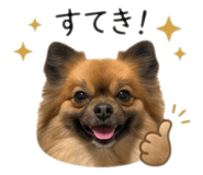 842156465