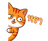 842156481