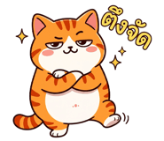 842156487