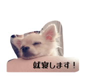 842156538