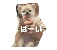 842156542