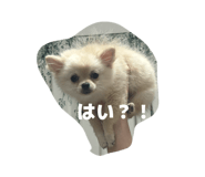 842156544