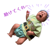 842156613